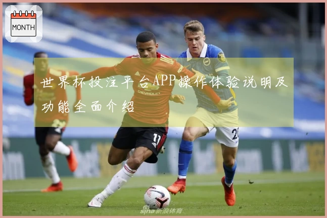 世界杯投注平台APP操作体验说明及功能全面介绍