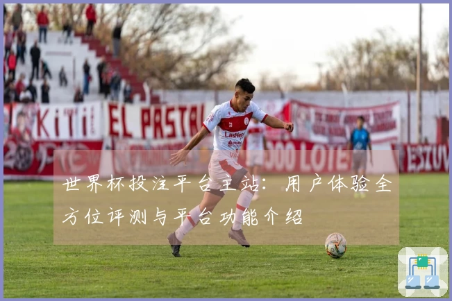 世界杯投注平台主站：用户体验全方位评测与平台功能介绍
