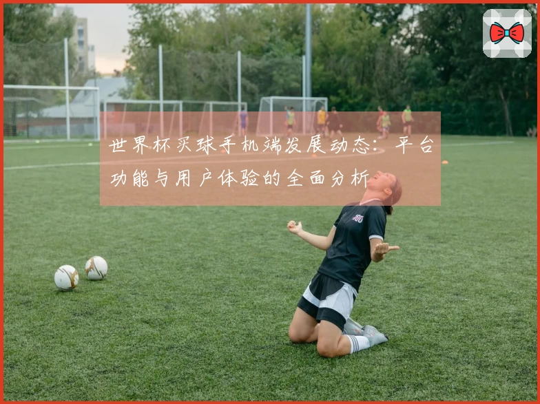 世界杯买球手机端发展动态：平台功能与用户体验的全面分析