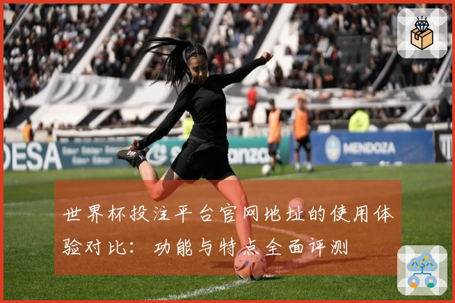 世界杯投注平台官网地址的使用体验对比：功能与特点全面评测