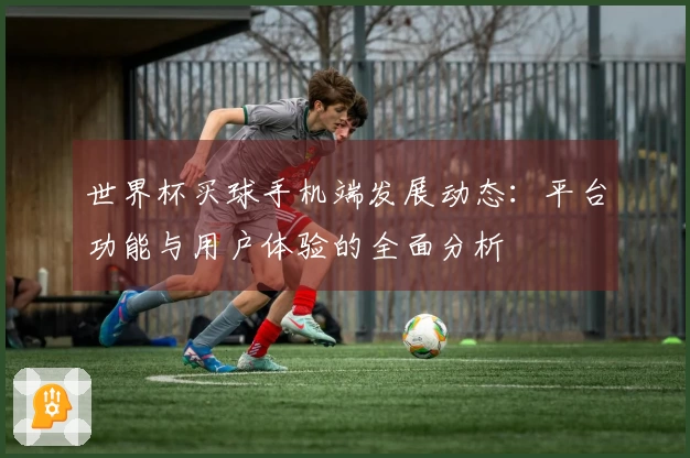 世界杯买球手机端发展动态：平台功能与用户体验的全面分析
