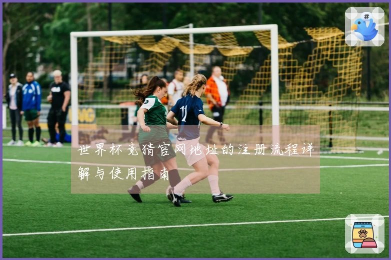 世界杯竞猜官网地址的注册流程详解与使用指南