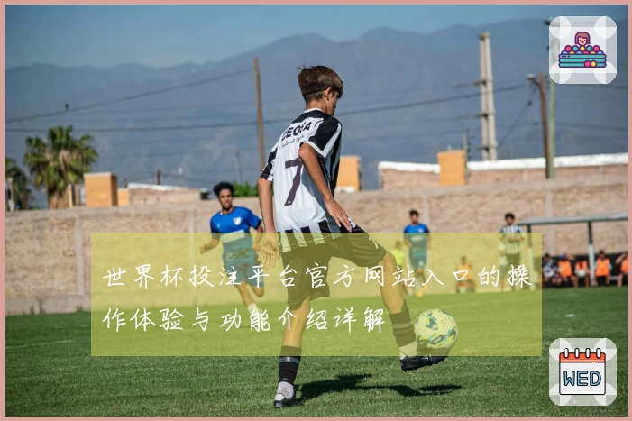世界杯投注平台官方网站入口的操作体验与功能介绍详解